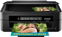 Epson XP-211 driver