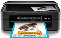 Epson XP-241 driver